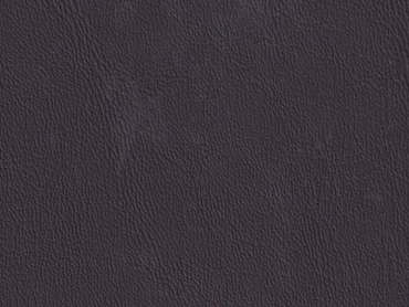 Scepter chocolate 140 cm  30 lfm pro Rolle